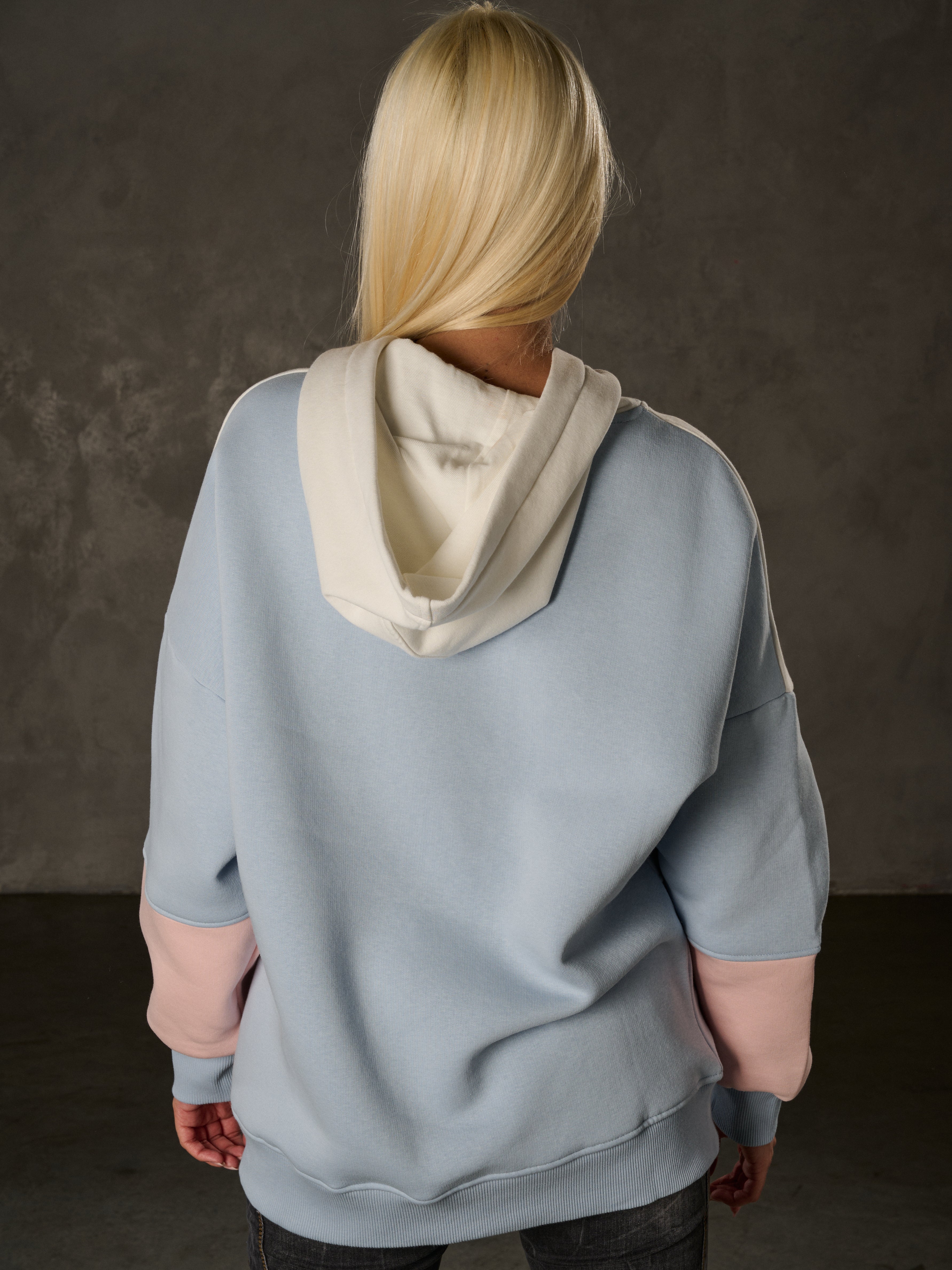 WL376 Hoodie Sweatshirt