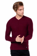 CP169 V-Neck Slim Fit Basic Men's Knit Sweater